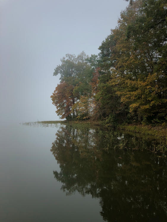 lake shoreline reflecting on smooth water with fog